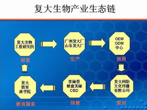如何尋找技術(shù)過硬的化妝品OEM代加工工廠 從技術(shù)審核到推廣服務(wù)的全攻略